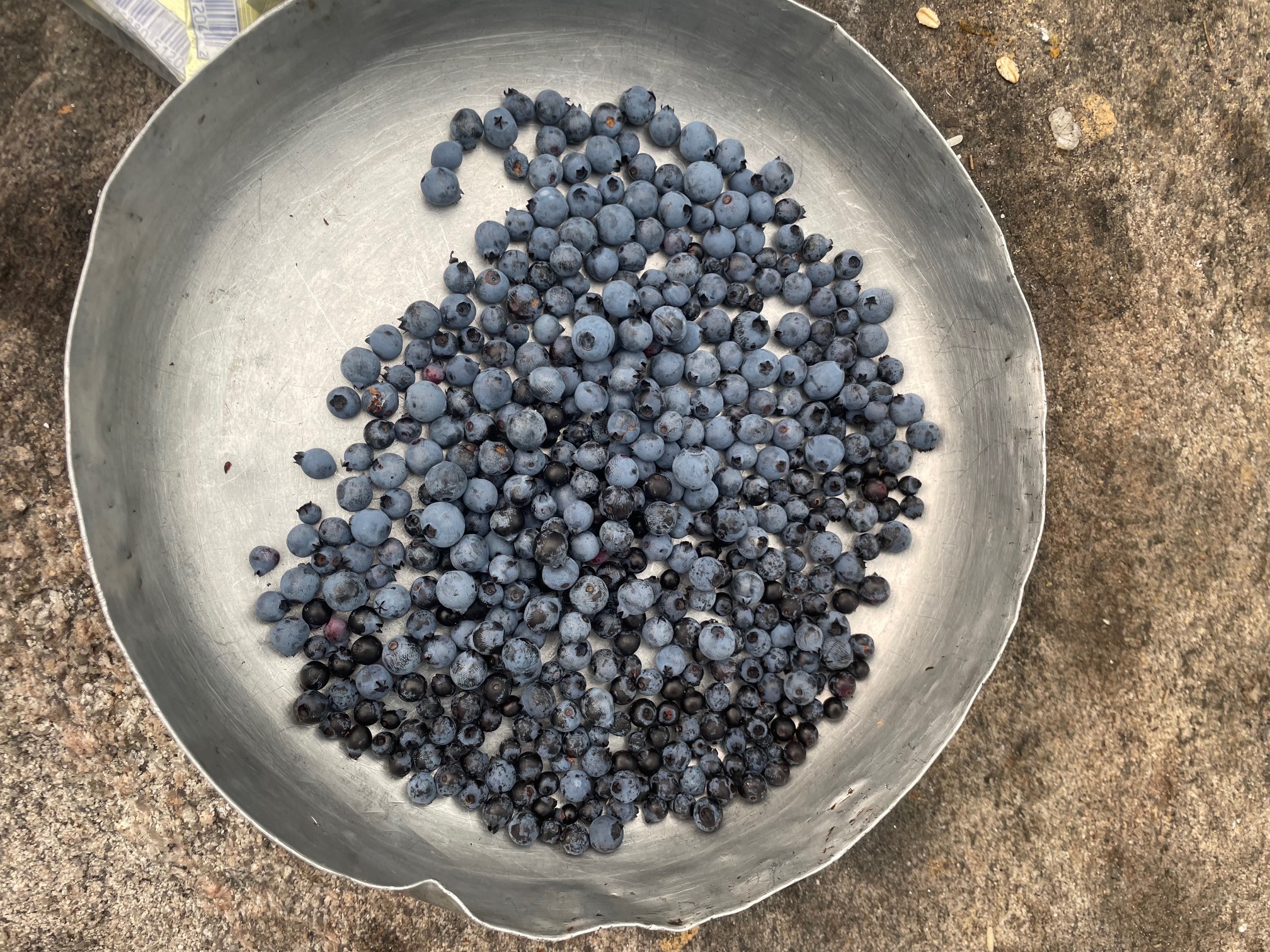 Hand-Picked Wild Blueberries